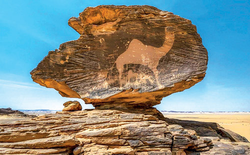 نجران تنوع ثقافي وتراثي يمتد لآلاف السنين 