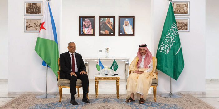 وزير الخارجية ونظيره الجيبوتي يرأسان اجتماع لجنة المشاورات السياسية 