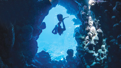 كهوف «أبو مدافع» لعشاق الغوص وعجائب البحر الأحمر 