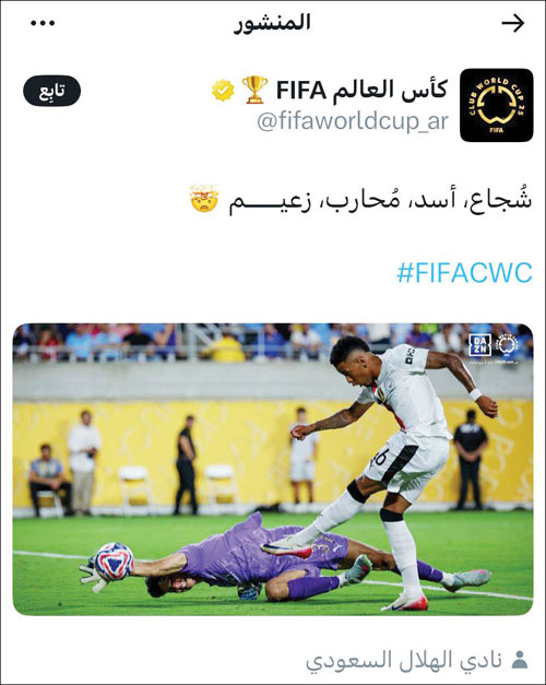 وصفه بالأسد والشجاع 