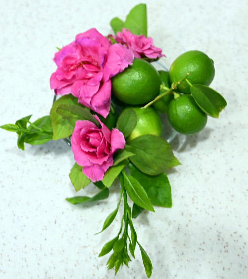 بدء حصاد ليمون «أبو زهير» بالمدينة المنورة 