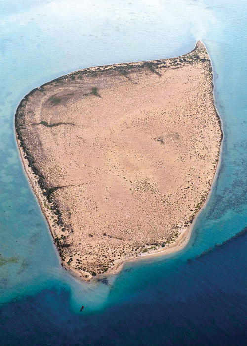 «شغيب».. لؤلؤة بحرية هادئة على البحر الأحمر 