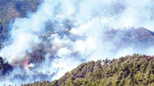 مساعدات أردنية - تركية لاحتواء الحريق 