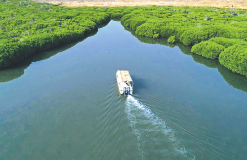 جــازان .. بوابة الجنوب للاسـتـثـمـار 