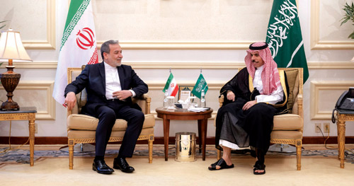 وزير الخارجية يبحث مع نظيره الإيراني جهود استقرار المنطقة 