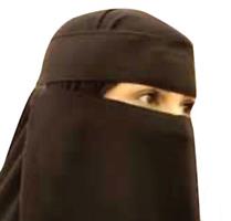 الشعر من الأشكال التقليدية إلى الأشكال التفاعلية 