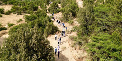 الباحة تنفذ برنامج هايكنج ضمن فعاليات الصيف 