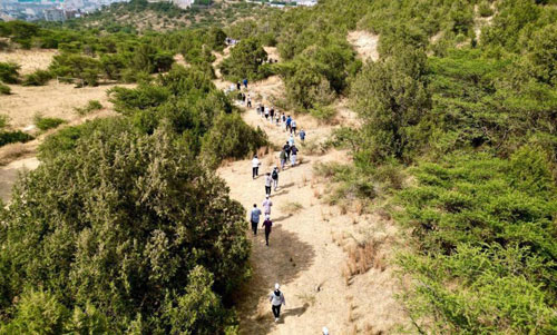 الباحة تنفذ برنامج هايكنج ضمن فعاليات الصيف 
