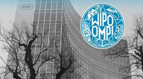 انتخاب المملكة لرئاسة جمعياتٍ ولجانٍ في المنظمة العالمية للملكية الفكرية 