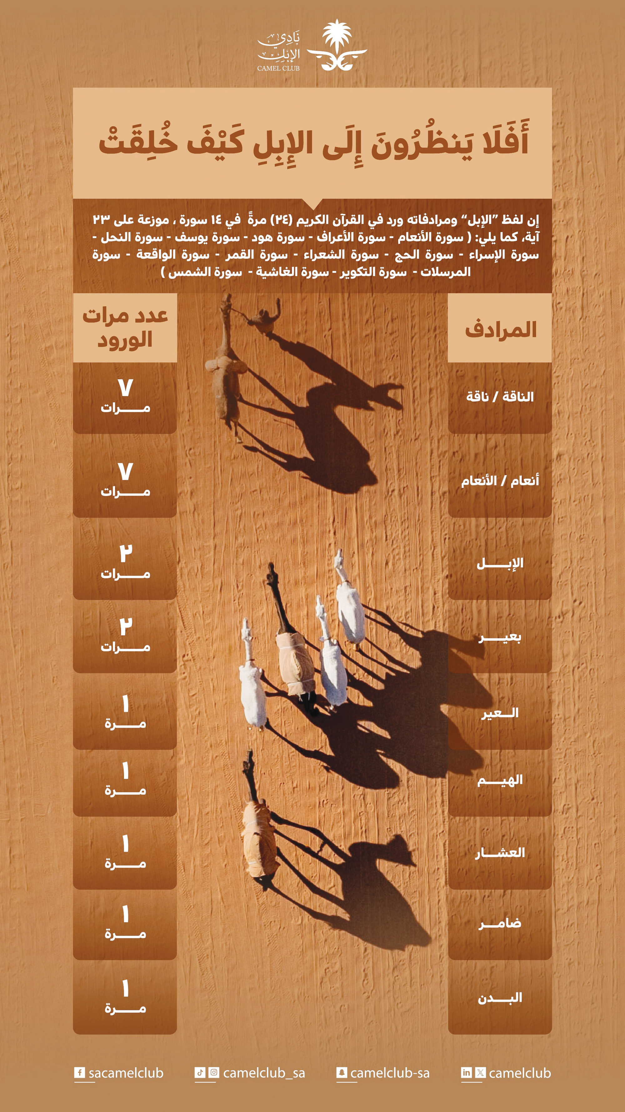 أَفَلَا يَنظُرُونَ إِلَى الْإِبِلِ كَيْفَ خُلِقَتْ 