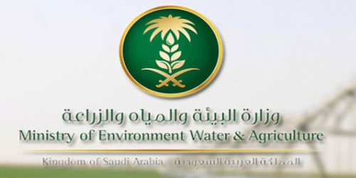 قلّصت وفيات الغرق بنسبة تتجاوز 17 % 