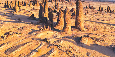 الغراميل.. أعمدة صخرية شاهقة وسط رمال العُلا 