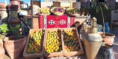 انطلاق موسم الفواكه الصيفية في العُلا 