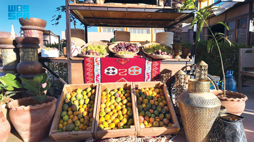 انطلاق موسم الفواكه الصيفية في العُلا 