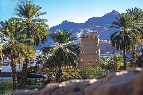 السياحة الريفية بنجران.. تعكس الهوية البيئية والتاريخ للمكان 