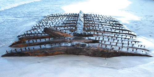 اكتشاف هوية سفينة غرقت في القرن الـ«18» في إسكتلندا 