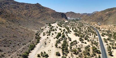 «الوهط والوهيط» بين بساتين «وج» و«المثناة» 