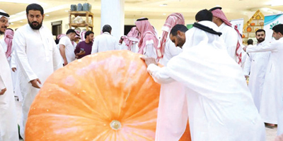 القرع العملاق في معرض «أطايب ثمار القصيم» 