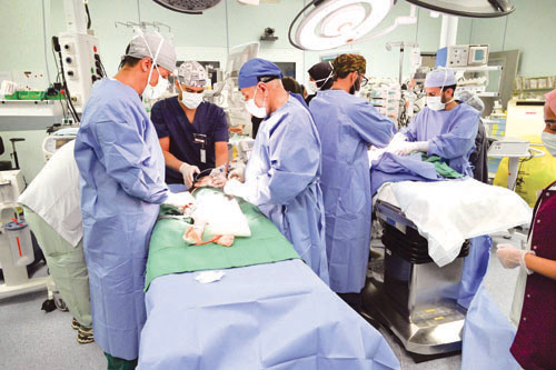 جانب من عملية الفصل