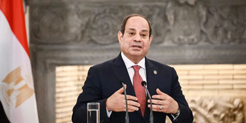 أكد أن مصر لا تعرقل مساعدات غزة 