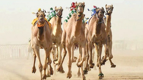 سبتمبر المقبل بجوائز تتجاوز 50 مليون ريال 