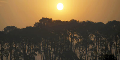 الحرار العديمة 