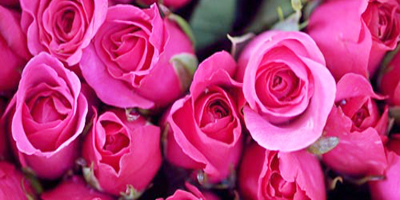 تبدّلت كل الوجيه 