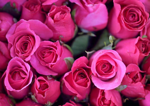 تبدّلت كل الوجيه 