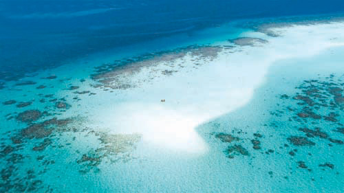 «جزيرة بياضة».. وجهة ساحلية هادئة على خارطة السياحة 