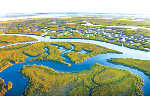 علماء يحذرون من اختفاء 20 % من الأراضي الرطبة بحلول 2050 