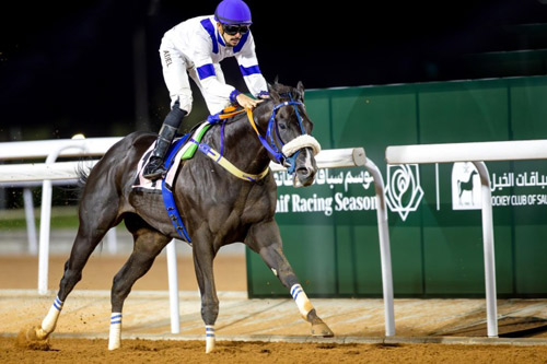 تتويج الجواد «وقتك» بكأس إمارة منطقة مكة المكرمة 