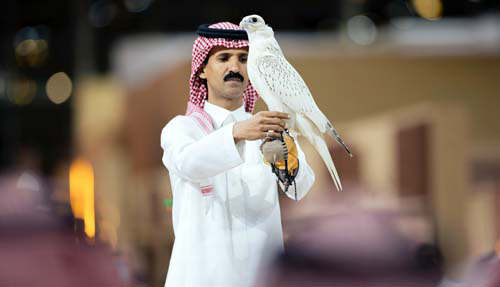 ملهم: بيع صقر من مزرعة «RX» الأمريكية بـ«1.2» مليون 