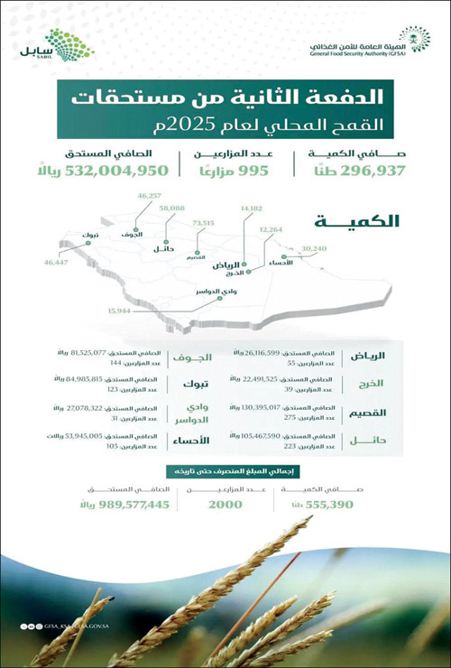 صرف 532 مليون ريال لمزارعي القمح المحلي 