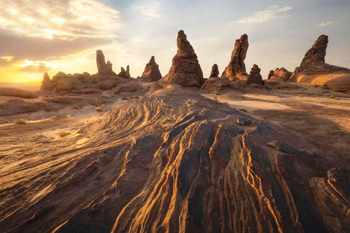 محمية الملك سلمان بن عبدالعزيز الملكية.. منظومة في البيئة والتاريخ والآثار 