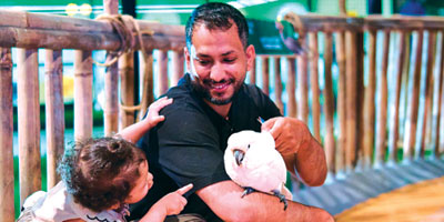 اختتام أنشطة «غابة العجائب» ومهرجان جدة للتسوق 