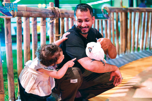 اختتام أنشطة «غابة العجائب» ومهرجان جدة للتسوق 