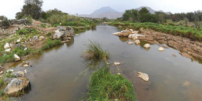 أودية عسير.. جمال الطبيعة وسحر المكان 