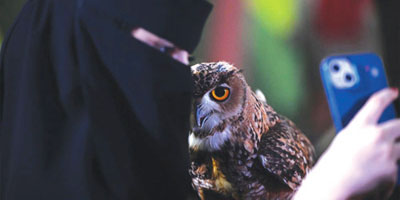 برامج متنوعة وعروض عالمية في فعاليات «سيتي هب» بتبوك 