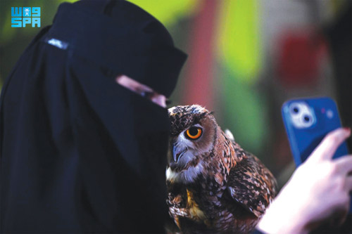 برامج متنوعة وعروض عالمية في فعاليات «سيتي هب» بتبوك 