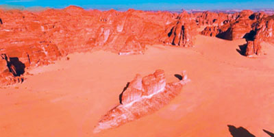 كيف استقرت سمكة في صحراء العُلا؟ 