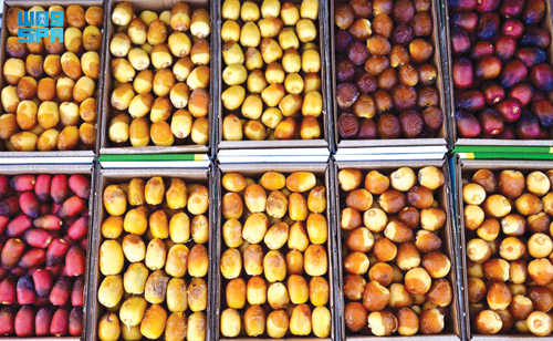 عرض أكثر من 150 نوعًا من نوادر التمور في كرنفال بريدة 