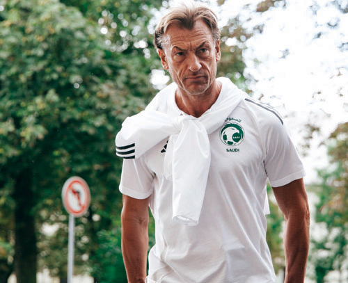 ايرفي رينارد