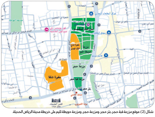 من حَجْر اليمامة إلى الرياض.. تاريخ عريق وحاضر مشرق 
