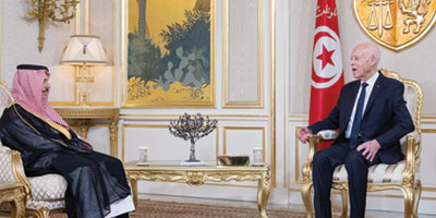 الرئيس التونسي استعرض مع وزير الخارجية مساعي دعم أمن واستقرار المنطقة 