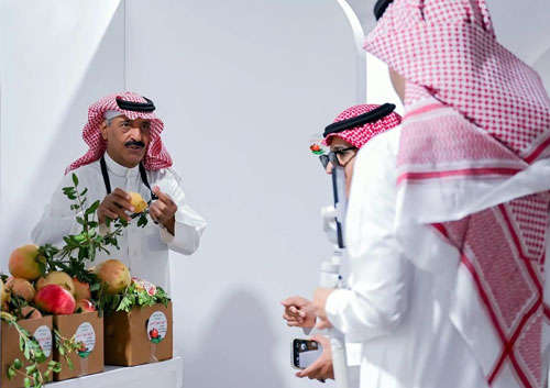 متاجر رمان الباحة الإلكترونية والنقل البري تشهد إقبالًا من جميع المناطق 