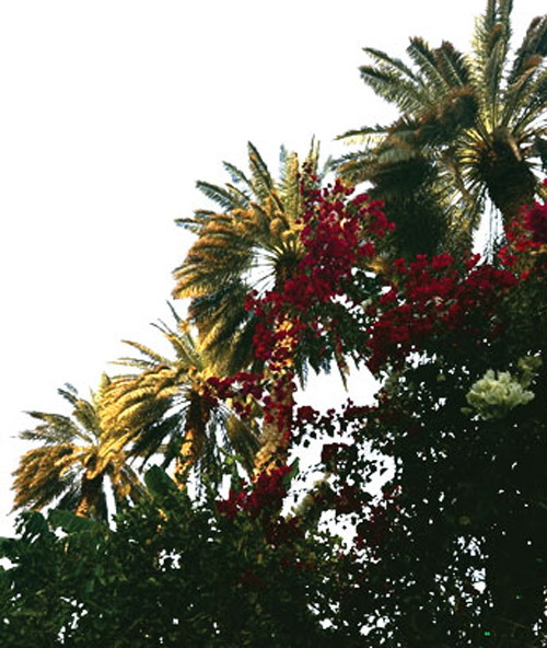 الحريق: ذاكرة المكان والإنسان 