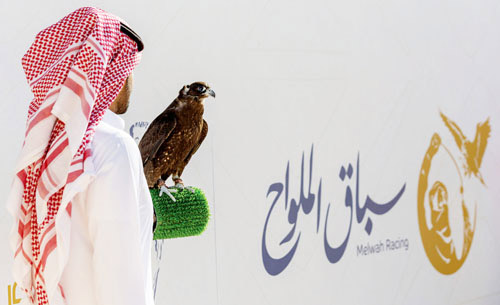 ضمن معرض الصقور والصيد السعودي الدولي 2025 