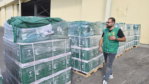 وصول الطائرة السعودية