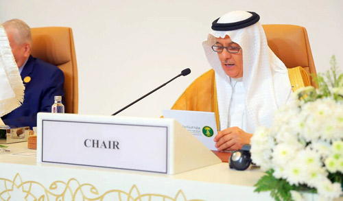 خلال مؤتمر وزراء «التعاون الإسلامي» 