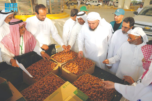 موسم صرام الأحساء يختتم فعالياته بأرقامٍ قياسية 